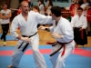 karate-an-20141108-41-1