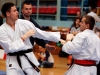 karate-an-20141108-49