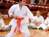 karate-an-20141108-117