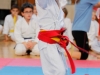 karate-an-20141108-37